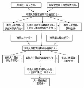 澳门人威尼斯3966