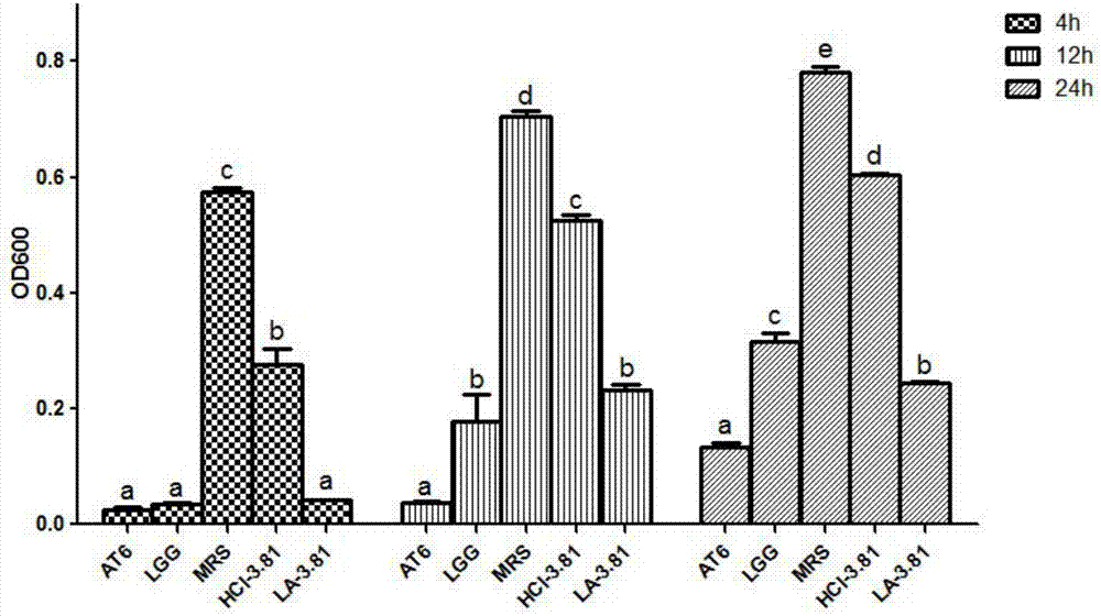 澳门人威尼斯3966